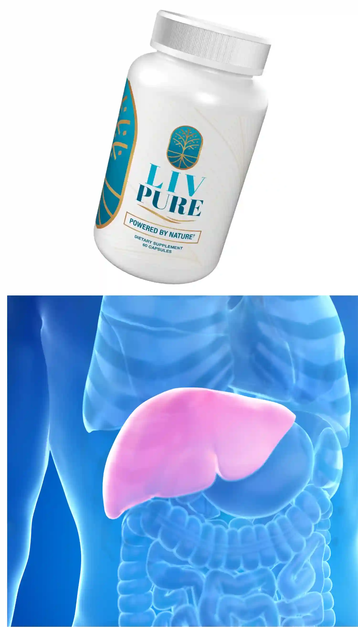 livpure supplement